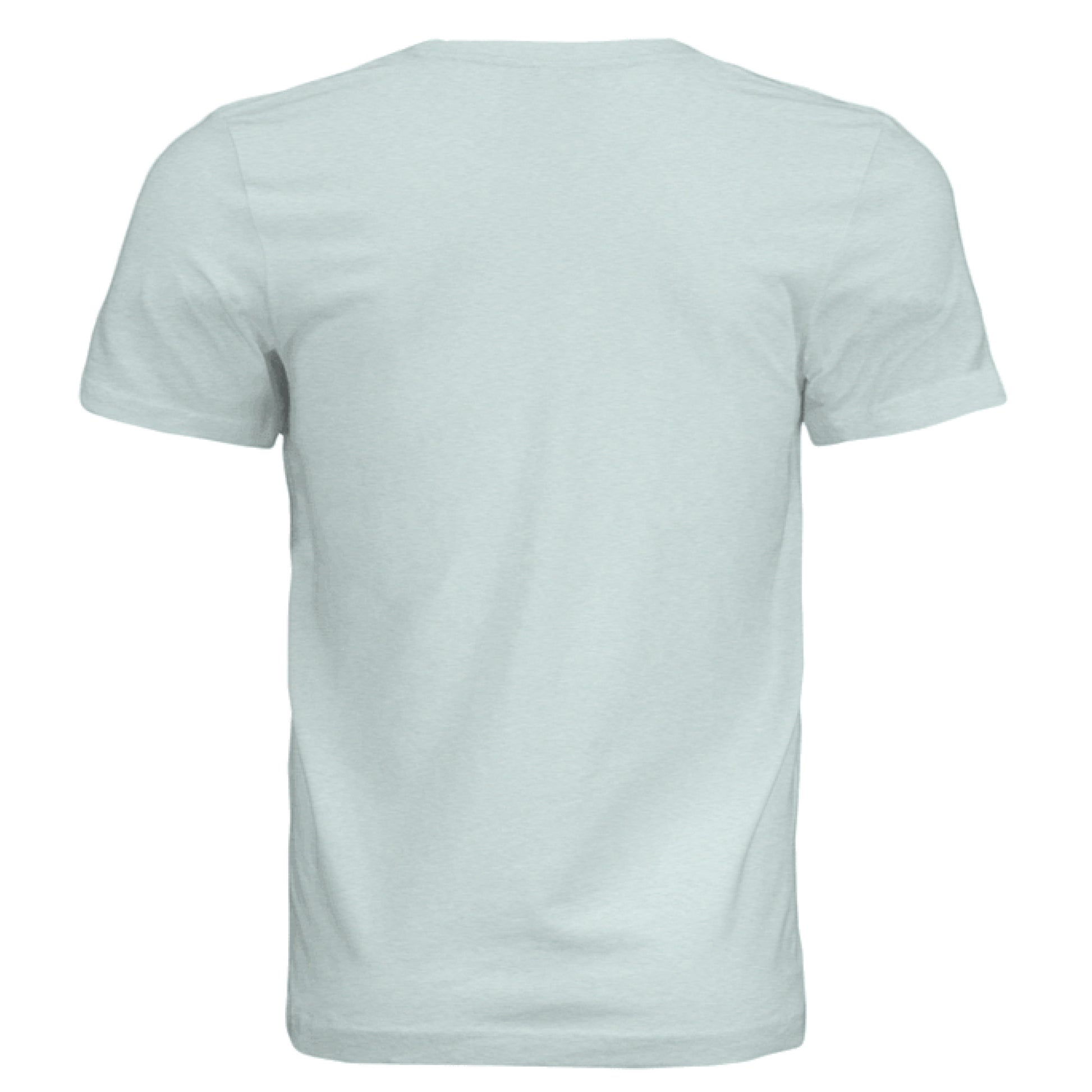 MINT Tri Blend - BACK