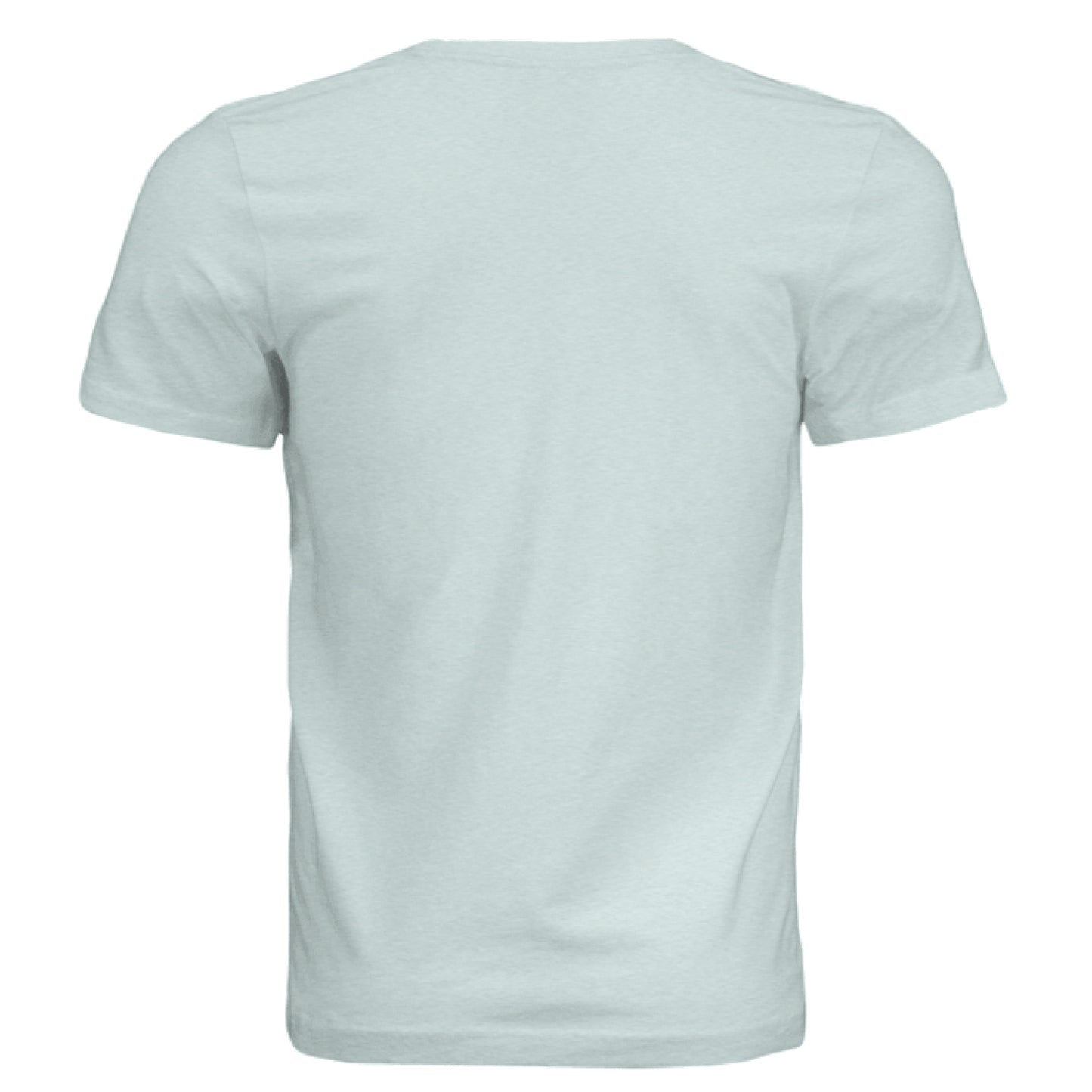 MINT Tri Blend - BACK