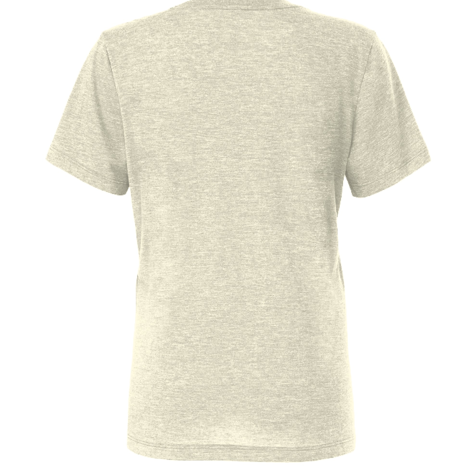 OATMEAL Tri Blend - BACK