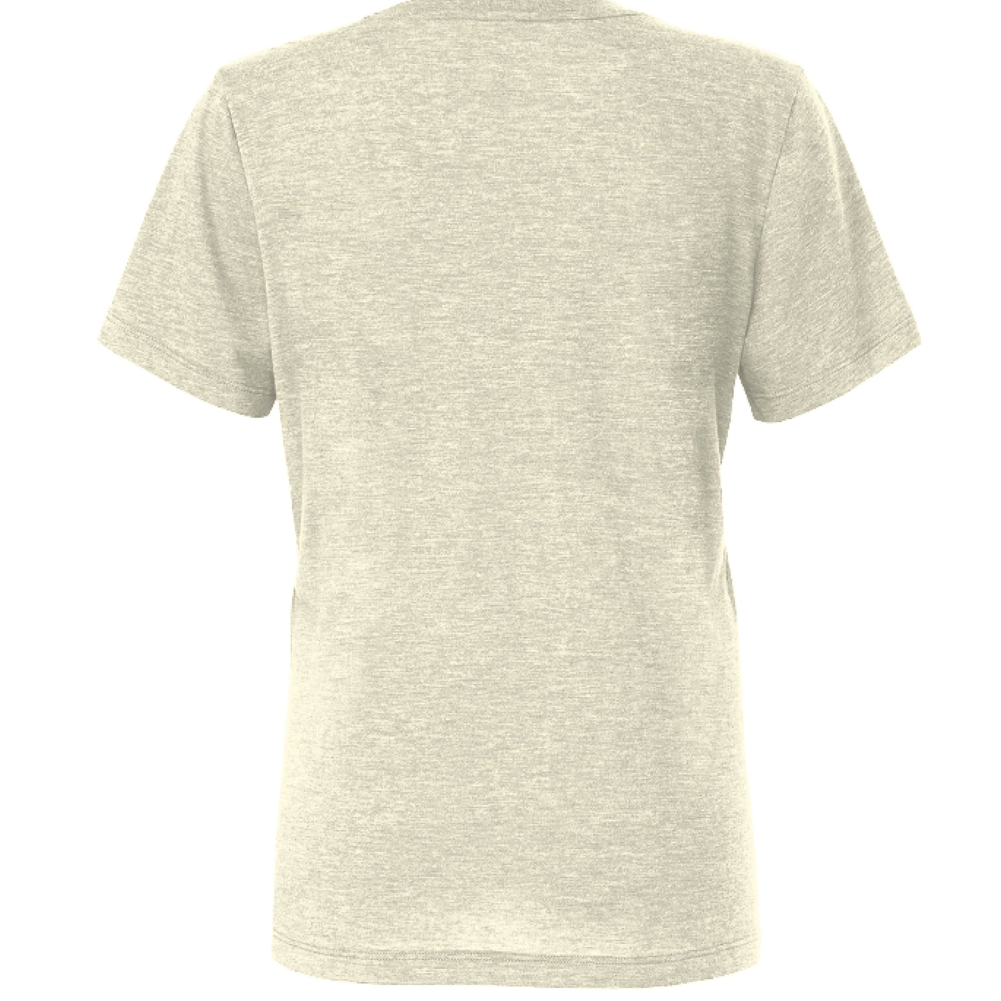 OATMEAL Tri Blend - BACK