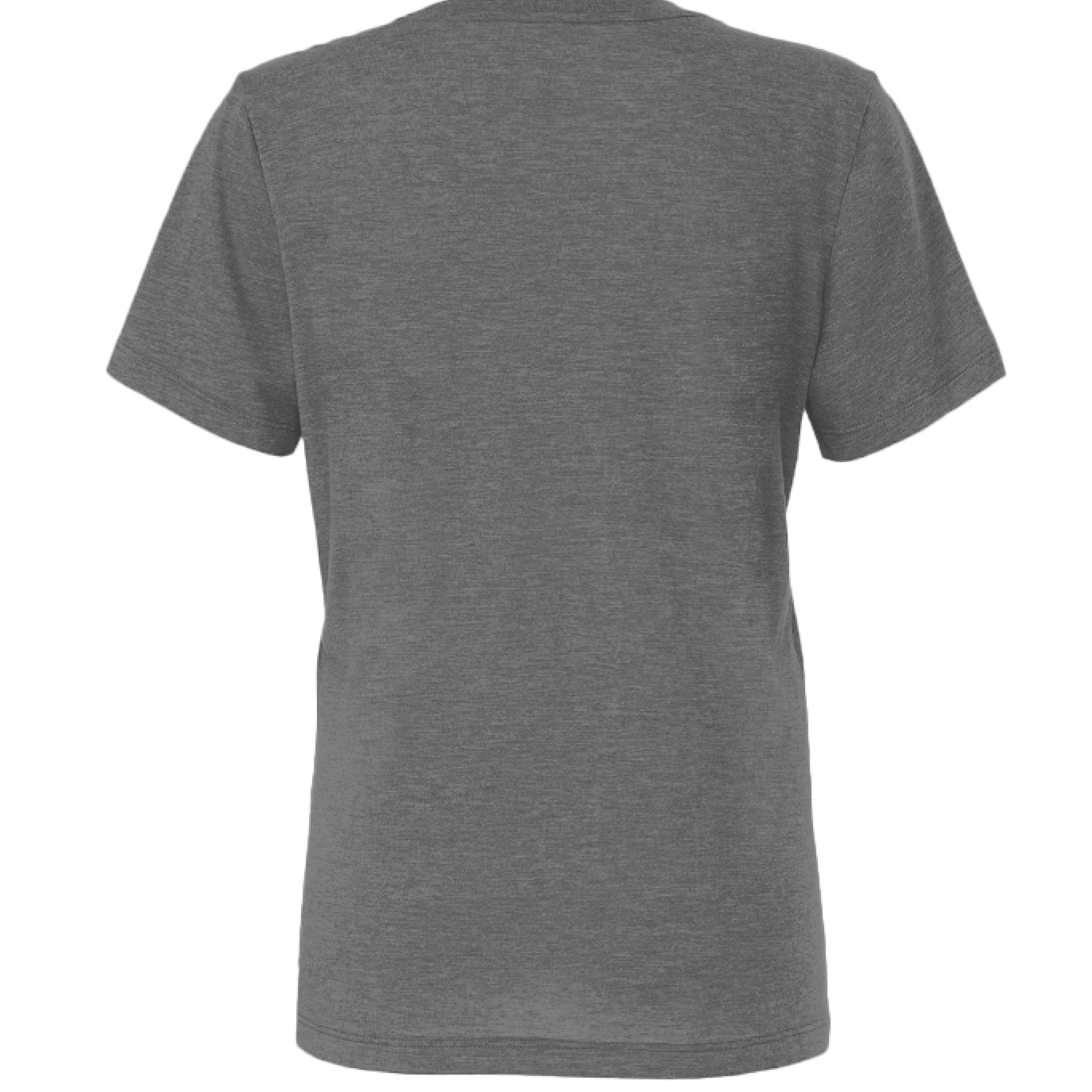 GREY Tri Blend - BACK