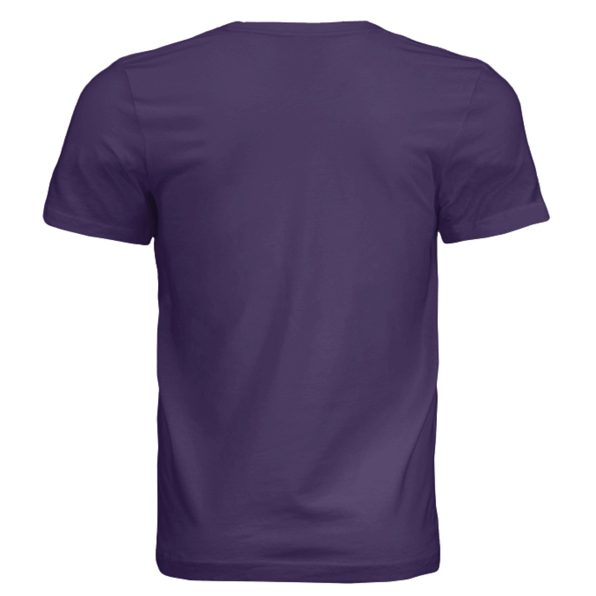 Solid Team Purple Tri Blend - BACK
